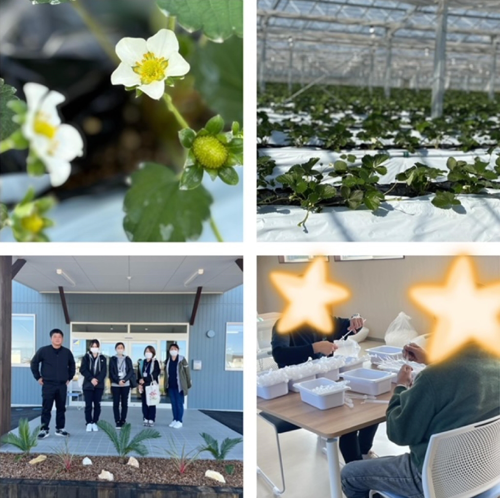 就労継続支援B型